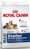 Royal Canin Maxi Starter 15 