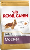 Royal Canin Cocker Adult 12 