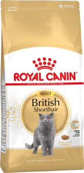 Royal Canin British Shorthair 10 